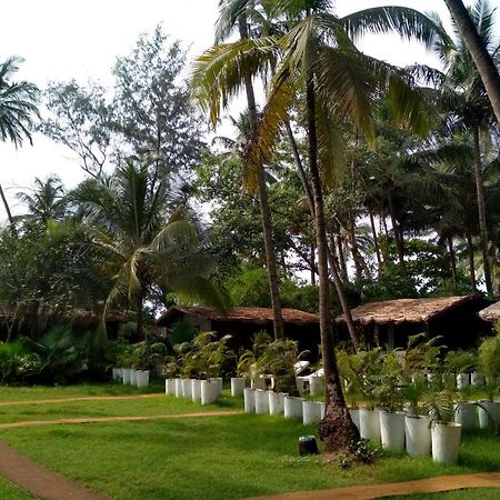 Mamagoa Resort Morjim Luaran gambar